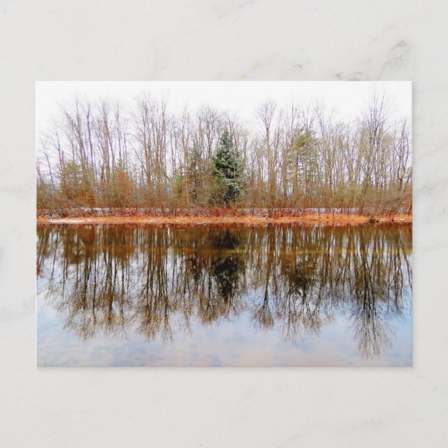 Postal Árboles de la temporada - Parque del río Ashuelot (Anverso)