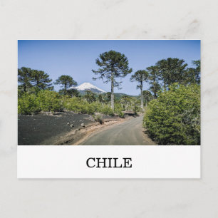 Postal Árboles de mono puzzle cerca de un volcán en chile