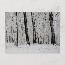 Postal Árboles de nieve de invierno   -     -