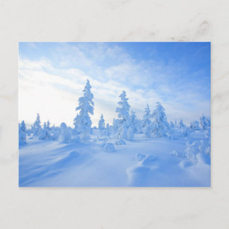 Postal árboles de nieve en Laponia, Finlandia