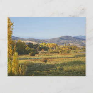 Postal Árboles de otoño, Khancoban, Montañas Nevadas, Nue