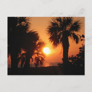 POSTAL ÁRBOLES DE PALMA BECKYS 4-2-02