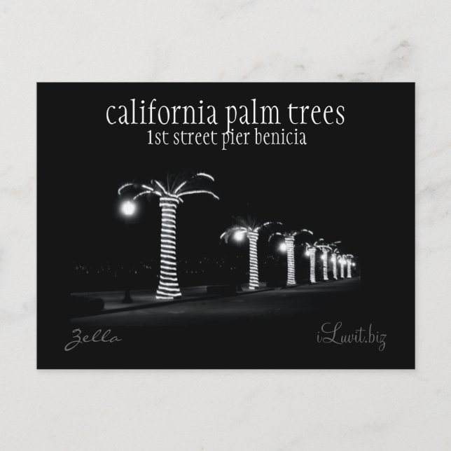 Postal ÁRBOLES DE PALMA CALIFORNIA por iLuvit.biz - posta (Anverso)