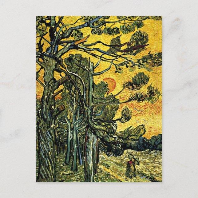 Postal Árboles de pino contra cielo rojo (Anverso)