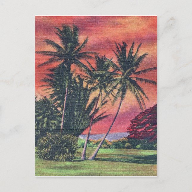 Postal Árboles de plátano en la isla de Hawaii, poster de (Anverso)