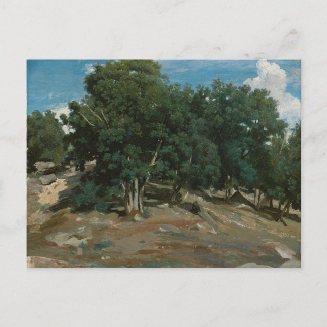 Postal Árboles de roble Fontainebleau (Anverso)