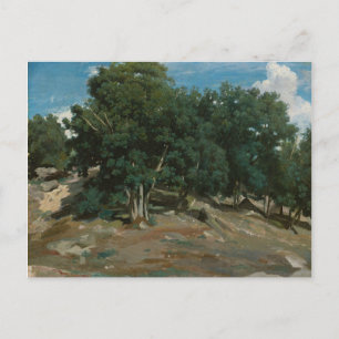 Postal Árboles de roble Fontainebleau