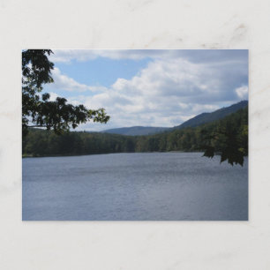 Postal árboles del lago de Pennsylvania del parque de