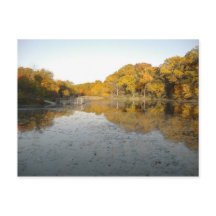 Árboles dorados y estanques... Foto de mi otoño de