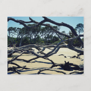 Postal Árboles en Jekyll