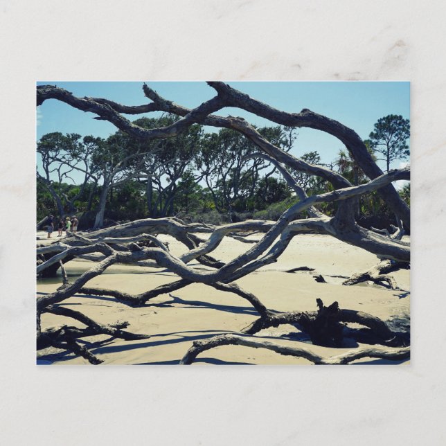 Postal Árboles en Jekyll (Anverso)