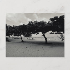 Postal Árboles en la playa de Sanur en Bali