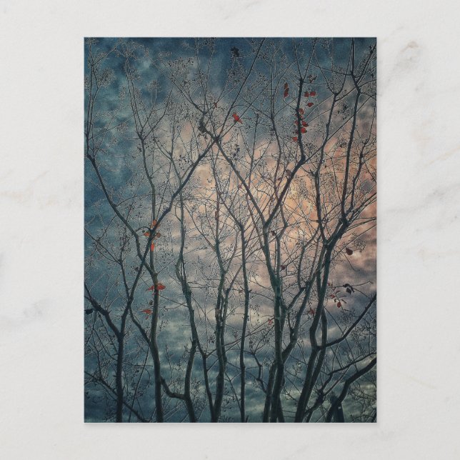 Postal Árboles fantasmales (Anverso)