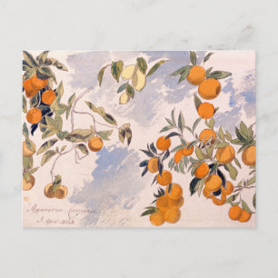 Postal Árboles frutales - Edward Lear