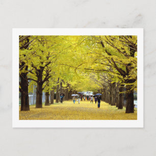 Postal Árboles Ginkgo: Parque Showa Kinen, Tokio