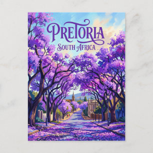 Postal Árboles Jacaranda de Pretoria Sudáfrica