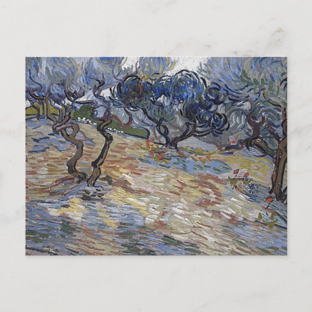 Postal Árboles olivos (F714) Bella Artes Van Gogh (Anverso)