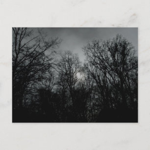 Postal Árboles oscuros