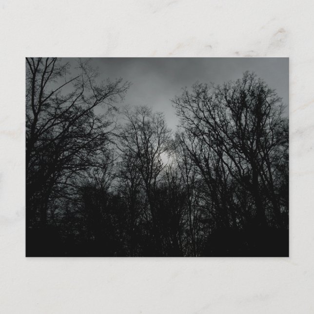 Postal Árboles oscuros (Anverso)