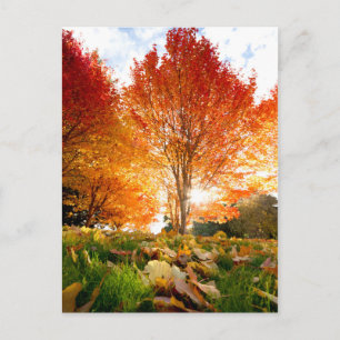 Postal Árboles otoñales