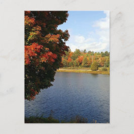 Postal Árboles otoñales en Ontario, Canadá