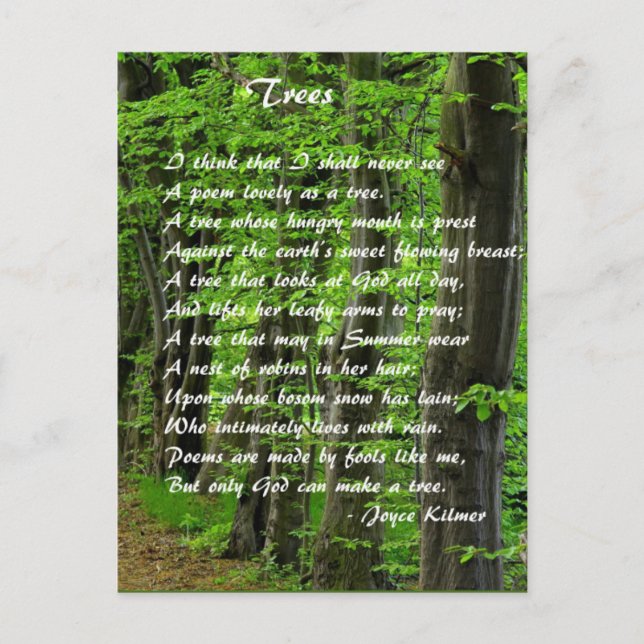 Postal Árboles por: Joyce Klimer (Anverso)