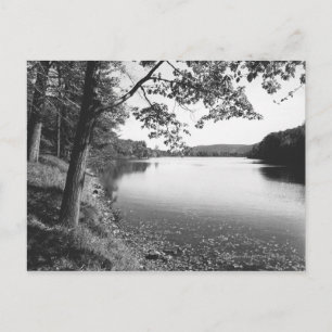 Postal Árboles por río B&W