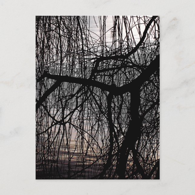 POSTAL ÁRBOLES SALVAJES (Anverso)