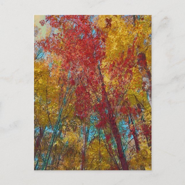 Postal Árboles verde azulados y de oro (Anverso)