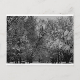 Postal "árboles y nieve" por Coressel Productions