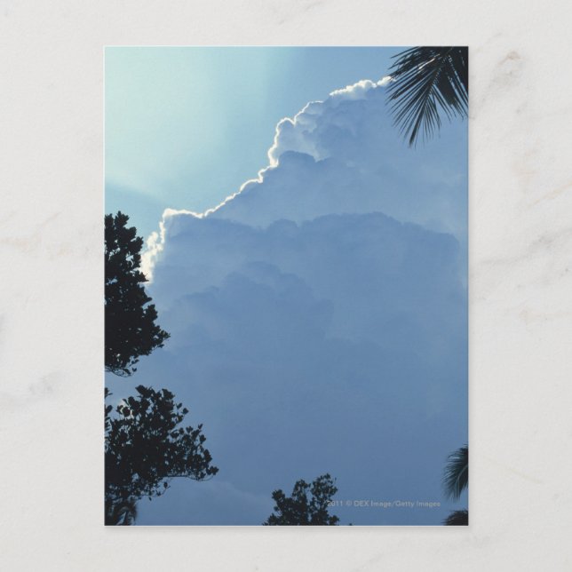 Postal Árboles y nubes (Anverso)