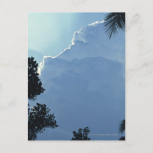 Postal Árboles y nubes