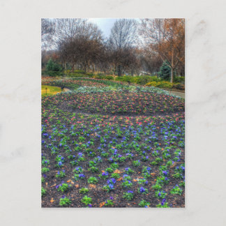 Postal Arboreto de Dallas y jardín botánico de flores cam