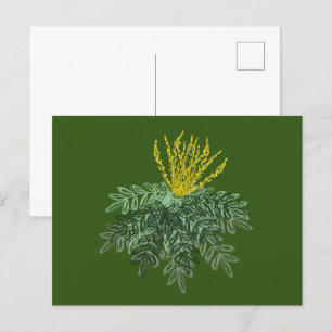 Postal Arbusto Botánico Mahonia Dibujado a Mano Verde