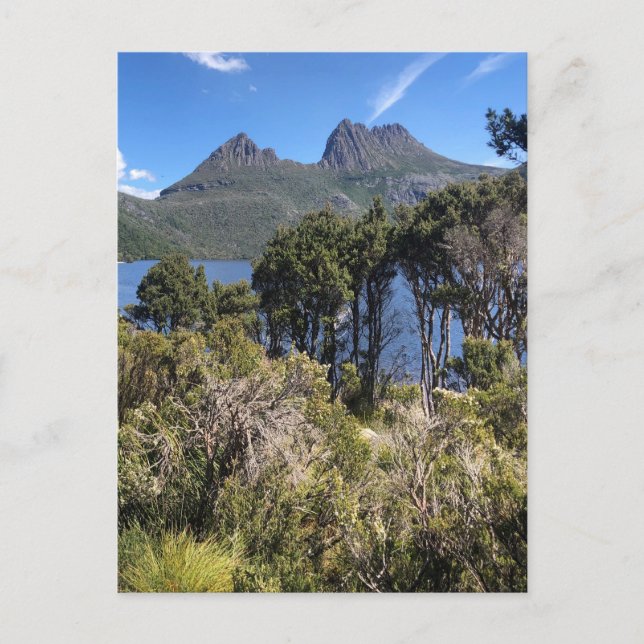 Postal arbusto de montaña cradle (Anverso)
