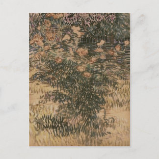 Postal Arbustos floridos, Vincent van Gogh