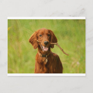 Postal Archie