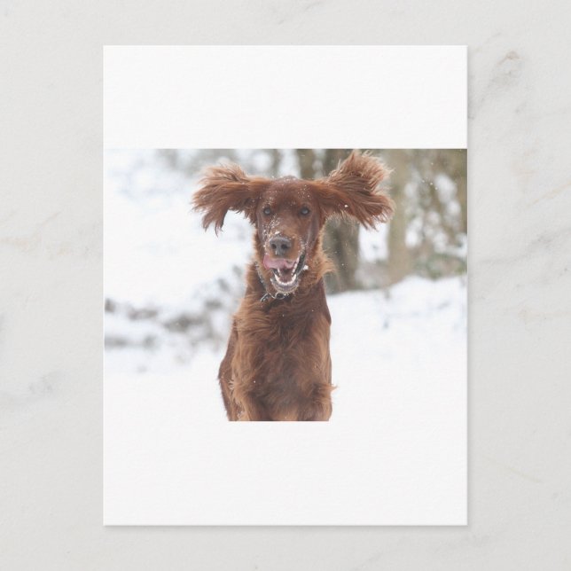 Postal Archie II (Anverso)