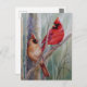 Postal Arco de agua del cardenal rojo del norte de pájaro (Anverso / Reverso)