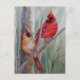 Postal Arco de agua del cardenal rojo del norte de pájaro (Anverso)