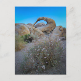 Postal Arco de las colinas de Alabama