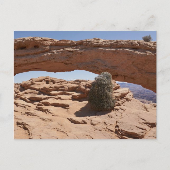Postal Arco de Mesa y Tumbleweed en Canyonlands (Anverso)