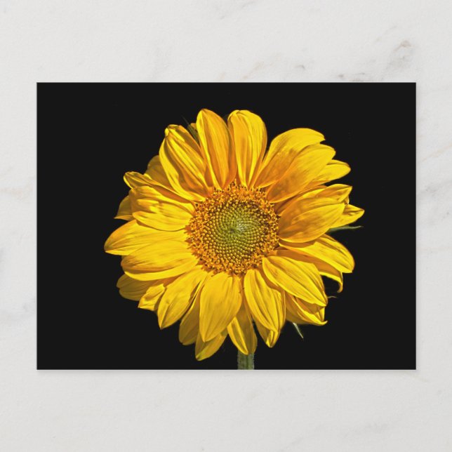 Postal Arco pc de girasol4 (Anverso)