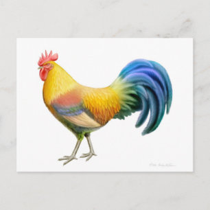 Postal Ardenner Rooster Postcard
