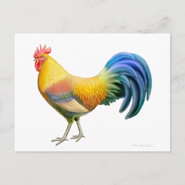 Postal Ardenner Rooster Postcard (Anverso)