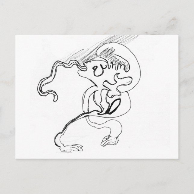 Postal ardilla (Anverso)