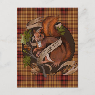 Postal Ardilla amante de la naturaleza
