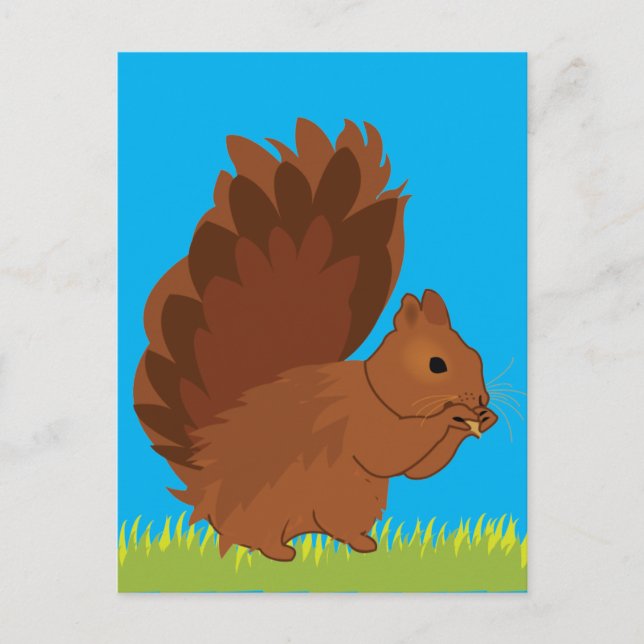 Postal Ardilla Animal  (Anverso)