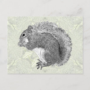 Postal Ardilla de arte