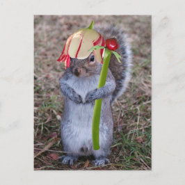 Postal ardilla de primavera con Gorra de pedal de flores